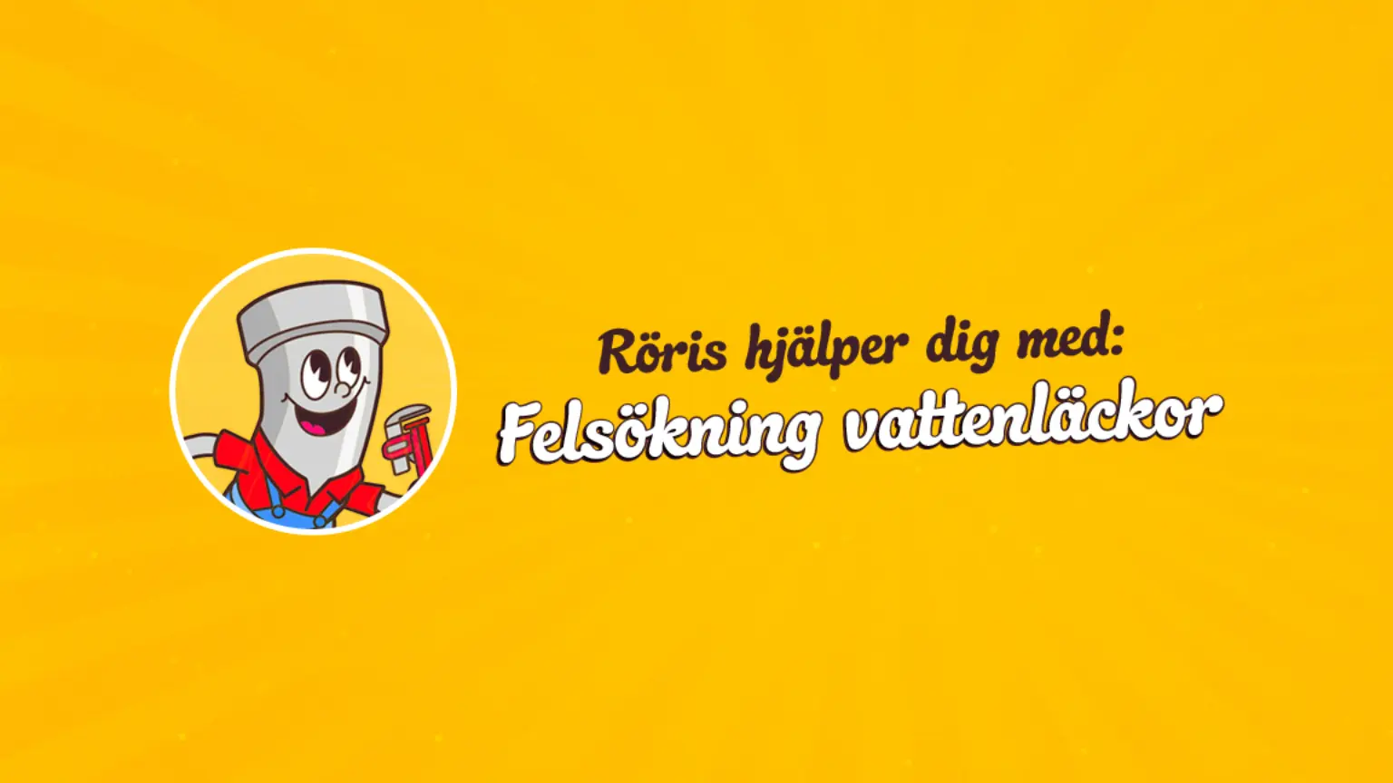 Roris hjalper dig med felsokning vattenlackor